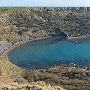 Local Area Image