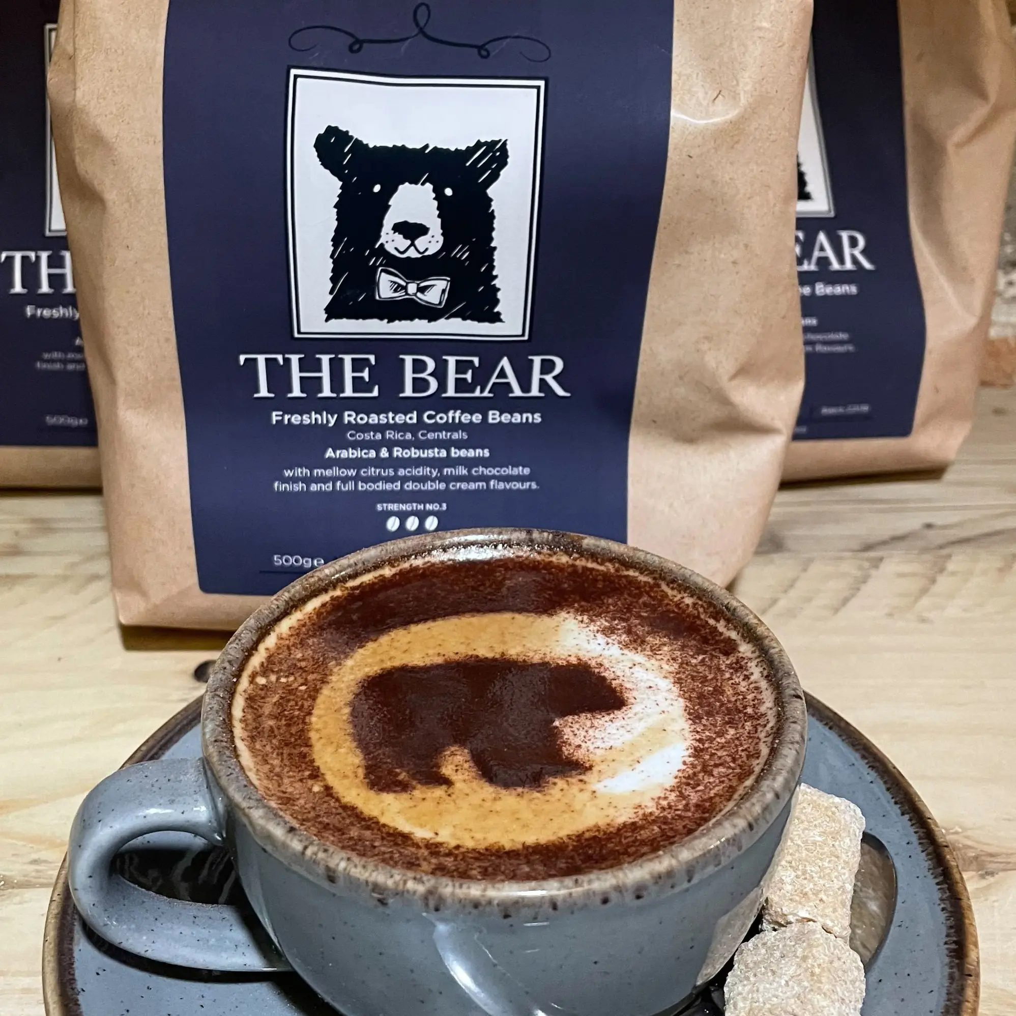 Bear Image