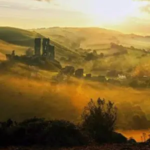 Local Area Image
