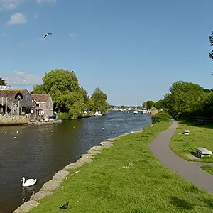 Local Area Image