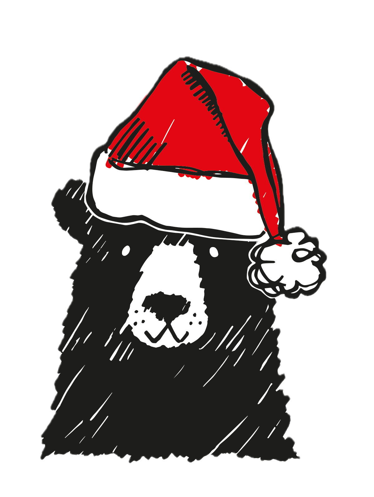 Bear Image